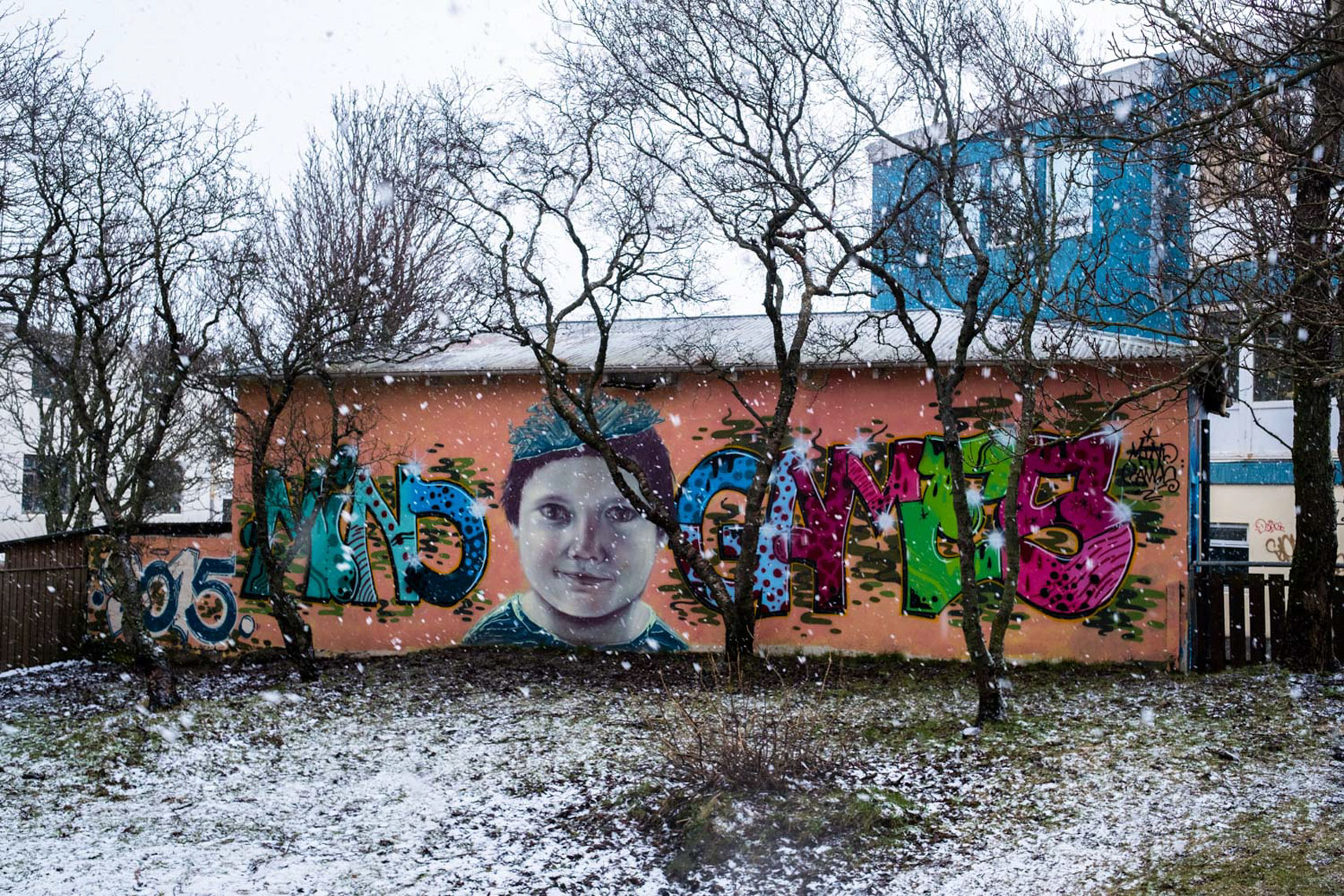 REYKJAVIK ICELAND 2017